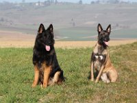 Jamie und Cora : 9_3_2014